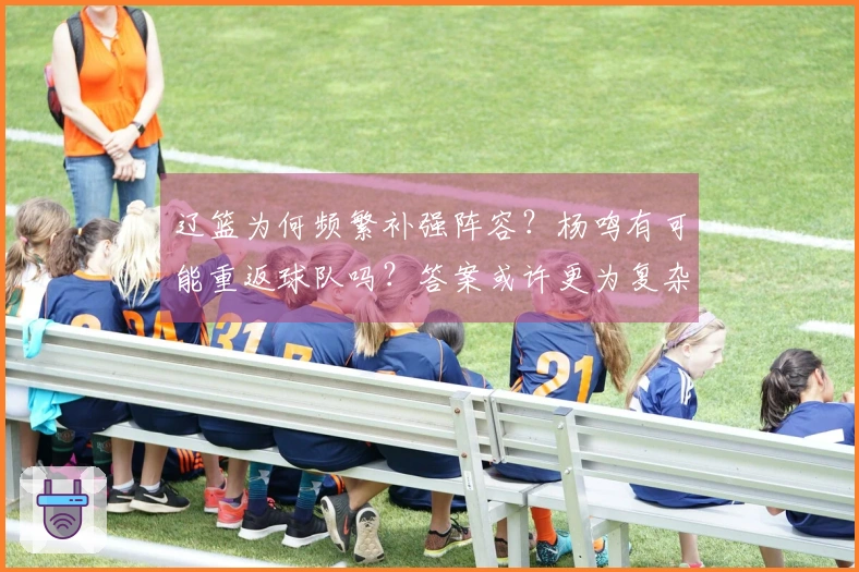 辽篮为何频繁补强阵容？杨鸣有可能重返球队吗？答案或许更为复杂！