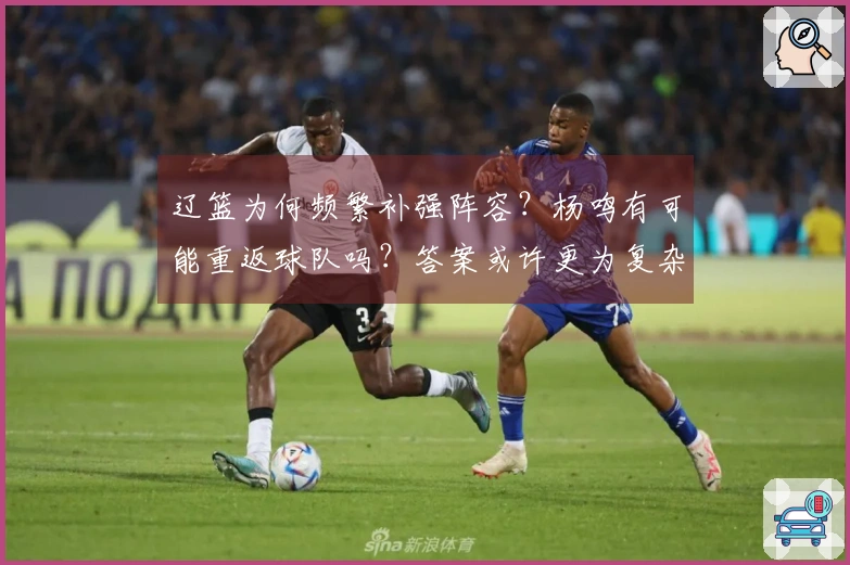 辽篮为何频繁补强阵容？杨鸣有可能重返球队吗？答案或许更为复杂！