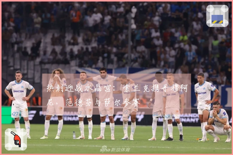 热刺迎战水晶宫：索兰克携手穆阿尼，范德芬与萨尔参赛