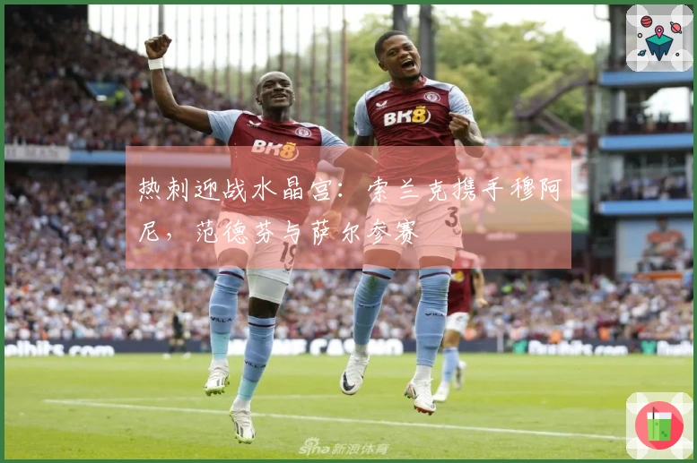 热刺迎战水晶宫：索兰克携手穆阿尼，范德芬与萨尔参赛